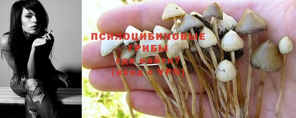соль курить ск Вяземский