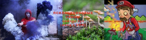 ГАЛЛЮЦИНОГЕННЫЕ ГРИБЫ Волосово