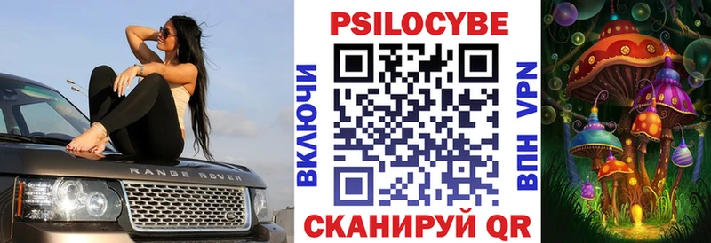 Галлюциногенные грибы Cubensis  blacksprut как войти  Зуевка 